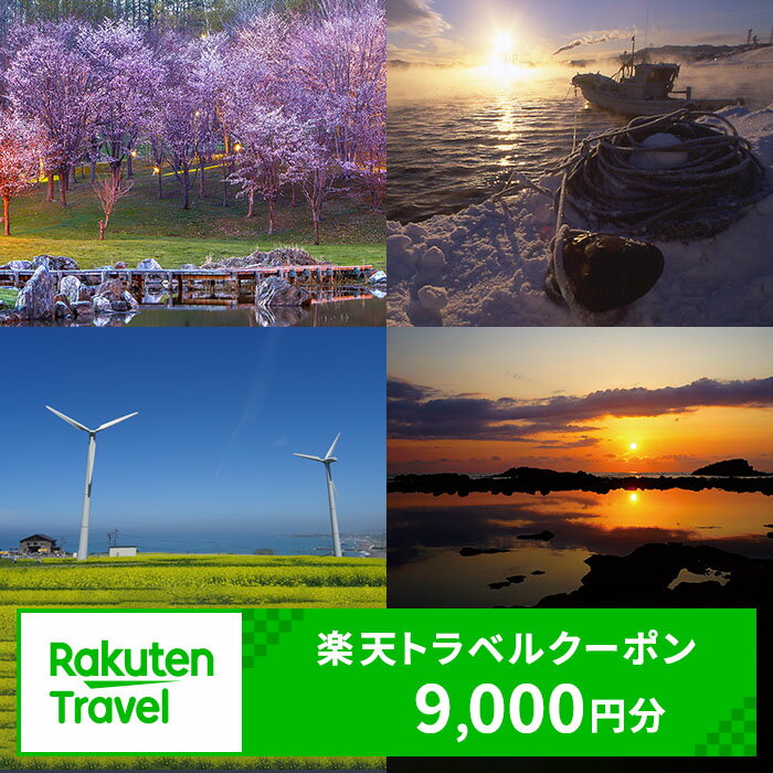 【ふるさと納税】北海道留萌市の対象施設で使える 楽天トラベルクーポン 寄付額30,000円 (クーポン9,000円) 北海道 宿泊 宿泊券 ホテル 旅館 旅行 旅行券 観光 トラベル チケット 旅 宿 券