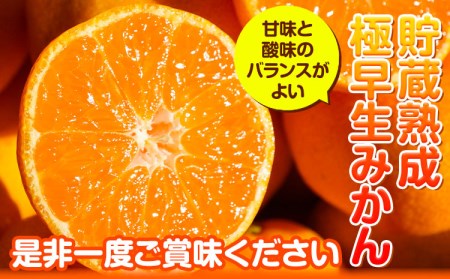 貯蔵熟成 極早生みかん(日南1号) 約5kg S～2L 家庭用 サイズ混合 横川果樹園