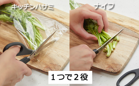 remy ナイフなハサミ（料理家　平野レミ・和田明日香監修）