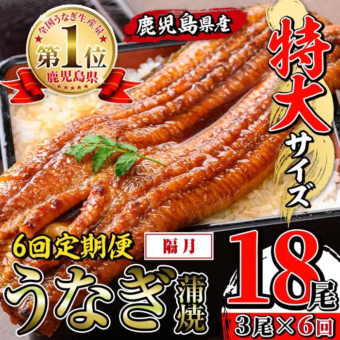 【6回定期便(隔月)】鹿児島県産 うなぎ蒲焼 特大 サイズ 3尾セット ＜（約220g×3・計約660g）×全6回＞  【薩摩川内鰻】 i1175-B