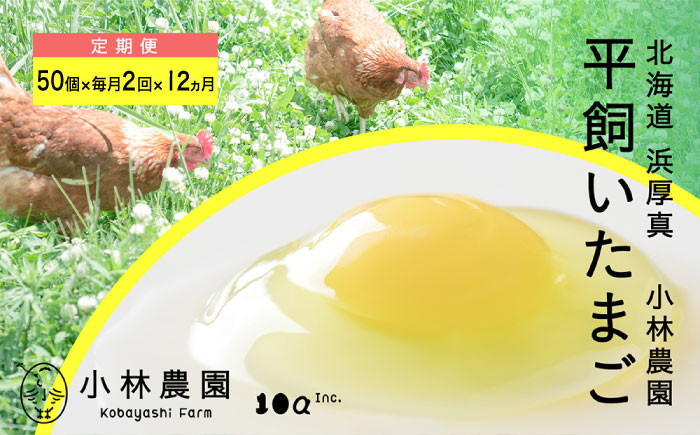 
                  【月2回・全24回定期便】こだわりの無投薬･平飼い有精卵 50個《厚真町》【テンアール株式会社】 たまご 卵 鶏卵 玉子 生卵 平飼い 北海道 定期便 [AXAN033]
                