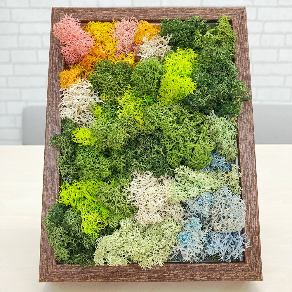 【ふるさと納税】スカンディアモス アートワーク 枠カラー：ブラウン（19.6cm×14.8cm×H4～5cm） 北欧 天然素材 メンテナンス不要 水やり不要 インテリア 雑貨 植物 自然 壁飾り 壁掛け 卓上 おしゃれ 室内 神奈川県 大和市 送料無料 【5月上旬発送開始予定】