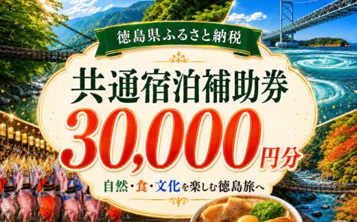 徳島県 宿泊券 30,000円分 《ここしかない！徳島県内”全域”が対象！》 阿波踊り 阿波おどり 徳島 旅行 旅行券 トラベル クーポン ホテル 宿泊 チケット 温泉 観光 すだち 鳴門金時 徳島ラーメン 半田そうめん 大塚美術館
