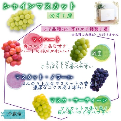 岡山　花笑み農園『園主おすすめぶどう2種セット』〜シャインの親子セット〜　2M−1SR　9月中下旬〜【配送不可地域：離島】【1629367】