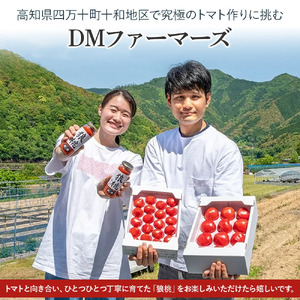 【先行予約／2026年2月下旬から発送】四万十育ち「狼桃」 糖度7度以上 無選別ミニミニ（約1.5kg） Fdf-13 フルーツ トマト とまと 野菜 数量限定 期間限定