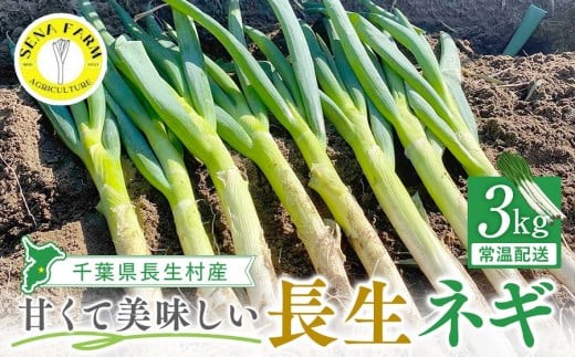 AD01-003 長生ねぎ（3kg）