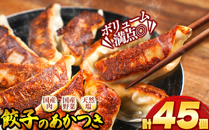 
餃子のあかつき 15個(375ｇ)×3パック 真岡市 栃木県 栃木県
