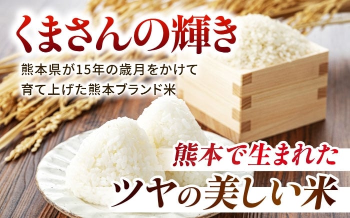 熊本県産 くまさんの輝き 白米 10kg (5kg×2)