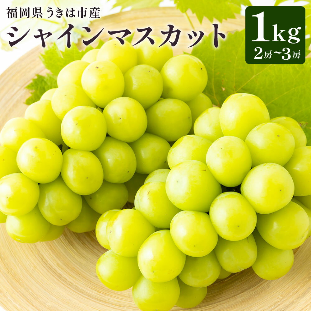 【ふるさと納税】【先行予約】 やりみず農園 農家厳選！ シャインマスカット 2房から3房（約1kg） 【2026年8月下旬～9月上旬発送予定】 シャインマスカット ぶどう ブドウ 葡萄 くだもの 果物 フルーツ 果実 果汁 送料無料 福岡県 うきは市