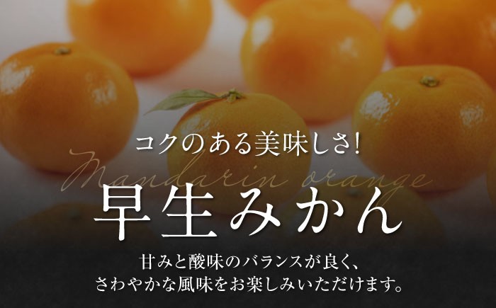 フルーツの代表！冬の定番果物！赤秀 愛媛県産 早生みかん 5㎏箱（50玉～80玉）