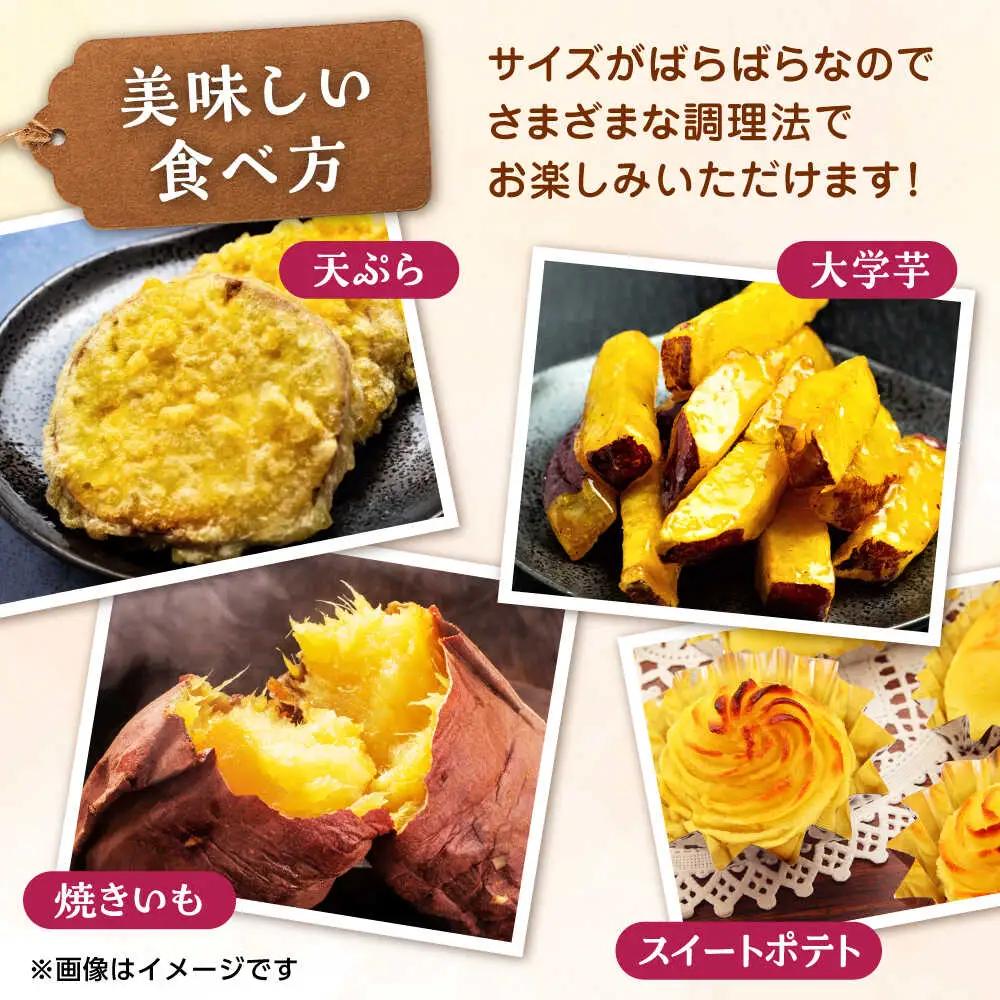 先行予約 紅はるかorシルクスイート蜜芋5kg サツマイモさつまいも ZCN013