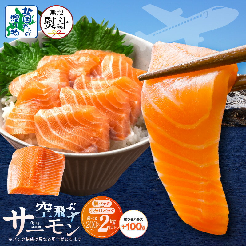 【高評価☆4.59】 ＼発送時期が選べる／ アトランティックサーモン 1kg以上 福袋 サーモン フィレ 刺身 海鮮丼 カルパッチョ 寿司 サラダ ソテー 泉佐野市 お取り寄せ グルメ 送料無料