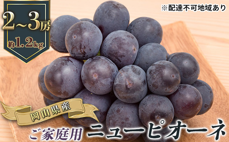 ぶどう 2026年 ニュー ピオーネ 約1.2kg 2～3房 ご家庭用