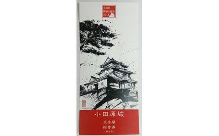 風魔忍者Tシャツ・小田原城天守閣招待券ペアセット　Lサイズ　2枚【忍者 風魔 Tシャツ小田原城 天守閣 ペア招待券 風魔一党 小田原北条氏 戦国時代 戦国時代ファン 小田原限定 忍 限定Ｔシャツ 忍者モチーフＴシャツ 神奈川県 小田原市 城】