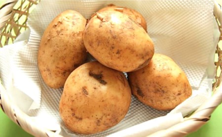 【先行予約！】春の万能 野菜 セット 約 5kg / じゃがいも 玉ねぎ 人参 旬野菜 詰め合わせ / 南島原市 / 長崎県農産品流通合同会社[SCB064]