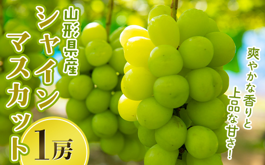 山形県産 大粒ぶどう シャインマスカット 1房(700g) 種無し 葡萄 ぶどう ブドウ マスカット 果物 くだもの フルーツ 贈答 贈り物 ギフト プレゼント 自宅 家庭 山形県 西川町 月山 FYN6-636