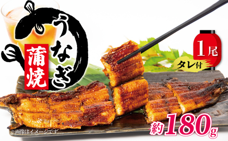 国産 うなぎ 蒲焼 1尾 180g  うなぎ うなぎ うなぎ うなぎ うなぎ うなぎ