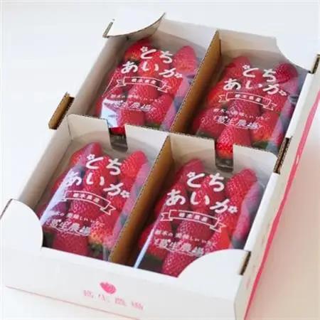 【春イチゴ】『とちあいか』(260g×4パック)_果物・フルーツ いちご  イチゴ 苺_【配送不可地域：離島】【1389987】
