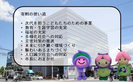 上尾市への返礼品無し寄付（10,000円分）　【応援 支援 プロジェクト 自治体支援 返礼品なし お礼の品なし 埼玉県 ふるさと支援 ふるさと応援 発展 自治体への寄付 寄付】
