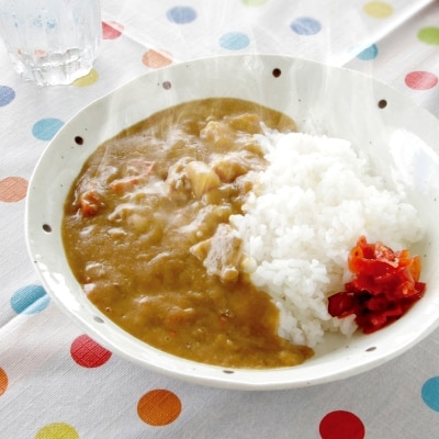 天理カレー　あまくち5個＆辛口5個セット