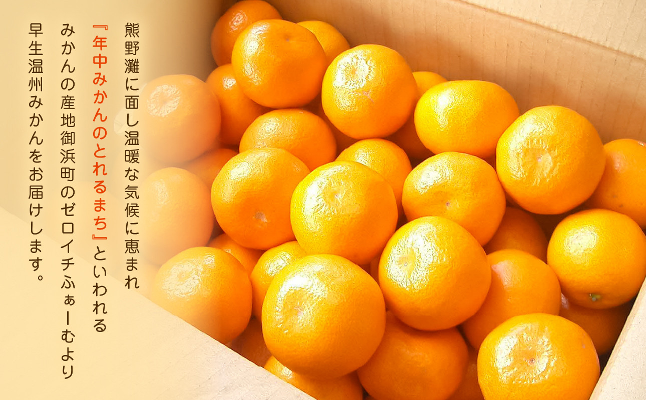 ※画像はイメージです。