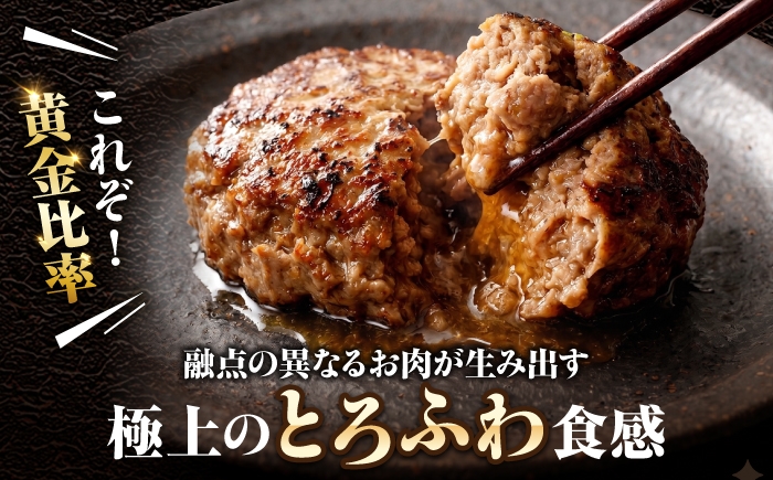 ハンバーグ 佐賀産 和牛 はんばーぐ 冷凍 小分け 140グラム 惣菜 弁当 夕食 おかず ハンバーグ 肉 黒毛和牛 牛肉