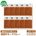 【ふるさと納税】【全12回定期便】壱岐牛キーマカレー[JBW028] 420000 420000円 42万円 冷凍配送