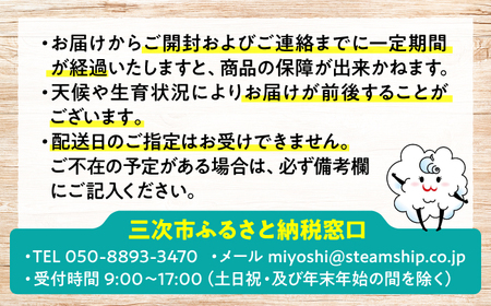 厳選！農夫のお野菜セット 旬の野菜 7品目以上 詰め合わせ 野菜セット 新鮮 食材 三次市/布野特産センター[APBA001]