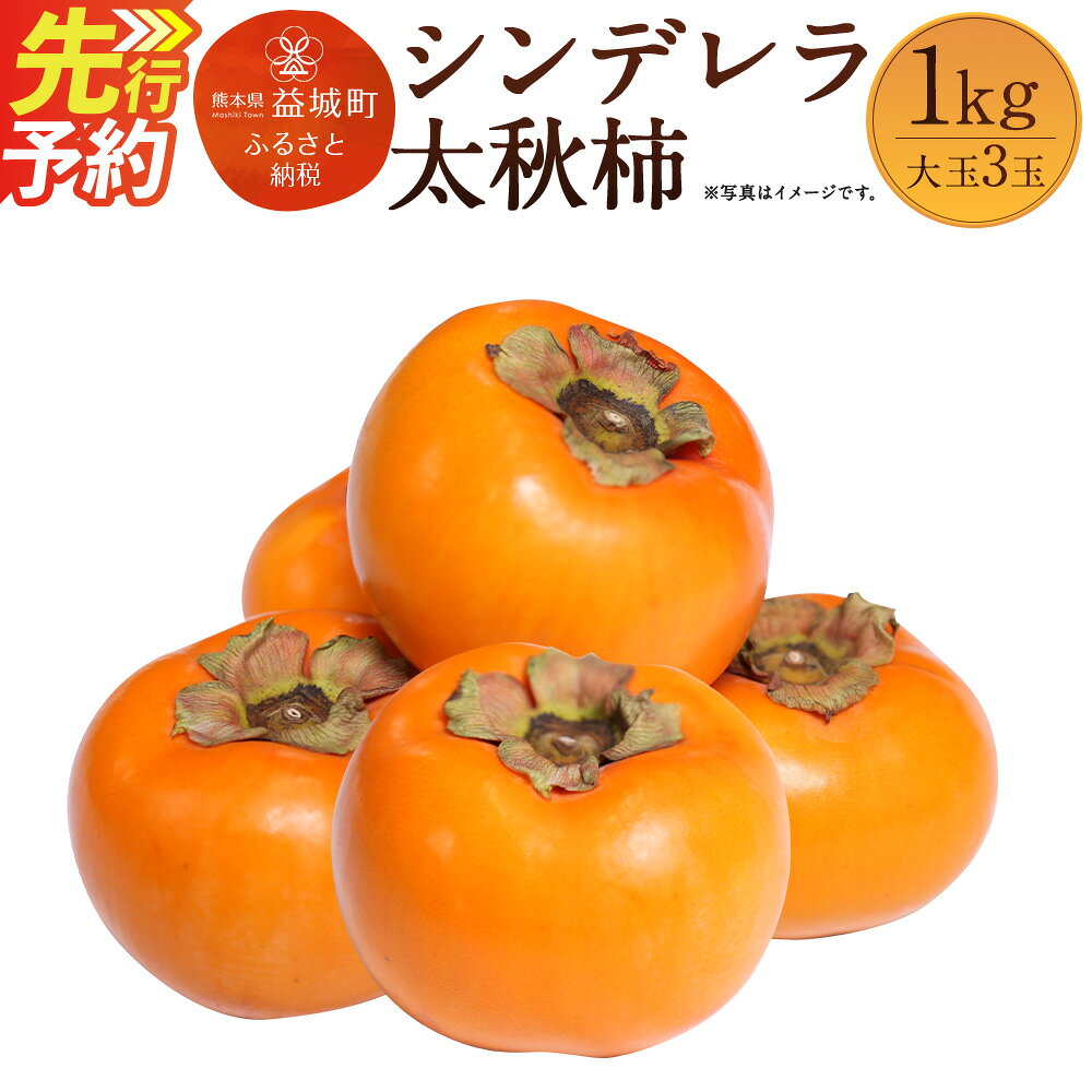 【ふるさと納税】シンデレラ太秋柿 1kg 大玉3玉 木箱入り 福馬果樹園 フルーツ 果物 国産 熊本県産 ギフト 贈り物 送料無料【2026年11月上旬～2027年1月上旬発送予定】