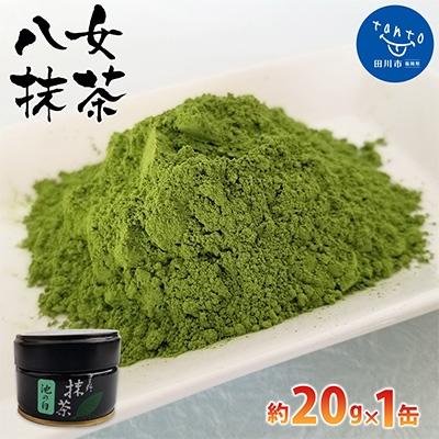 ふるさと納税 田川市 八女抹茶(約20g×1缶)(田川市)