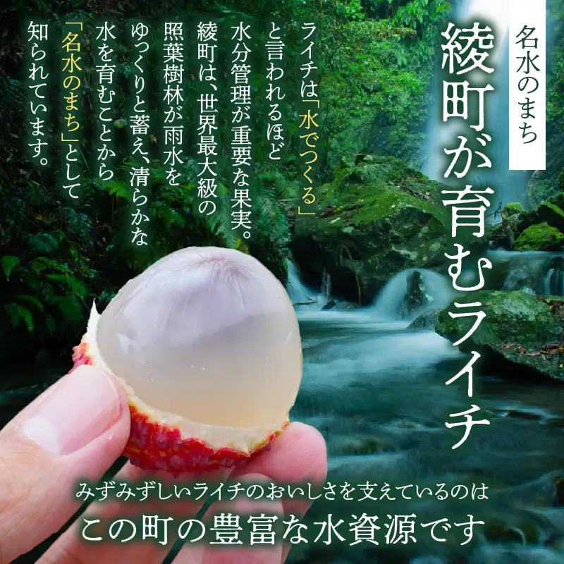 先行予約 数量限定 希少 国産 綾 生ライチ 2箱セット 2種類（化粧箱入り）果物 フルーツ くだもの 国産ライチ 2027年 トロピカルフルーツ 南国フルーツ 冷蔵 ジューシー 高級 デザート ギフ