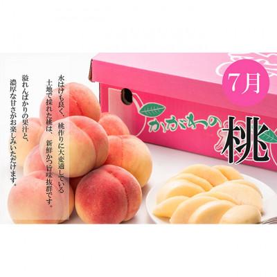 ふるさと納税 綾川町 【発送月固定定期便】夏のいいとこどり定期便(7・8・9月発送) [54010343]全3回 |  | 01