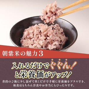 朝紫米 1kg 古代米 雑穀 紫米 もち米 黒もち米 特別栽培米 減農薬 紫米 雑穀米 新発田産 新潟 米 お米 させ農園 新潟県 新発田市 sase009