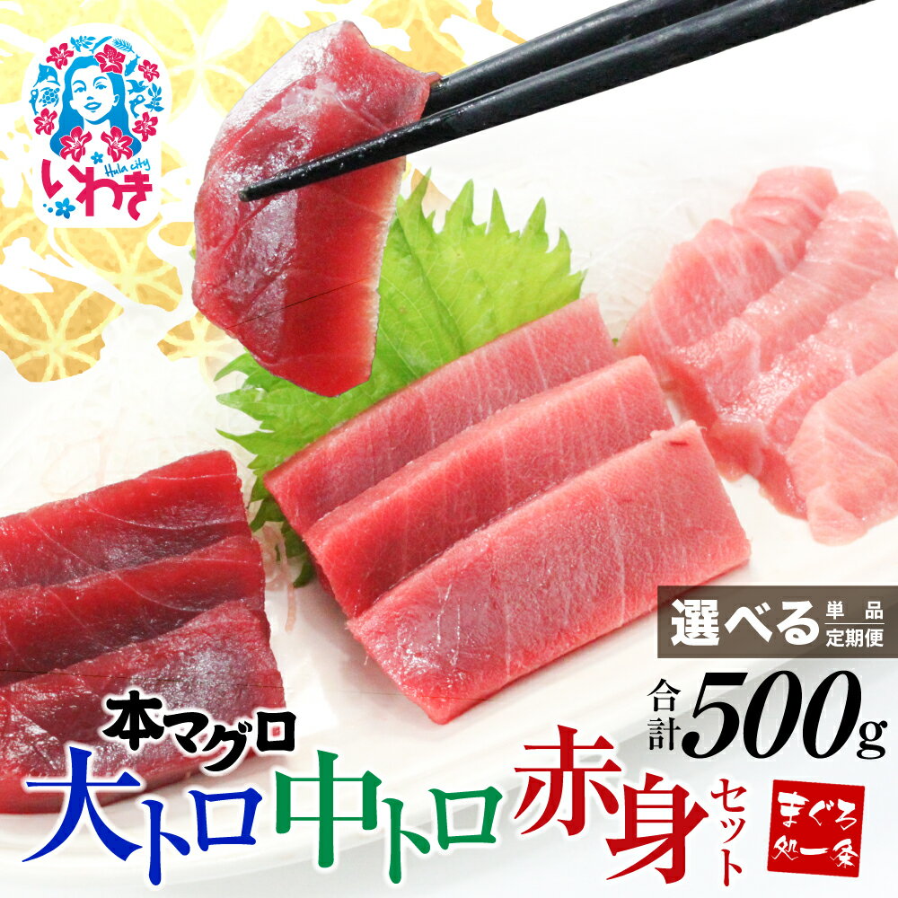 【ふるさと納税】 本マグロ 大トロ 中トロ 赤身 セット 500g 選べる 回数 定期便 解凍レシピ付 1サクずつ 真空包装 ｜ マグロ 鮪 まぐろ トロ 刺身 寿司