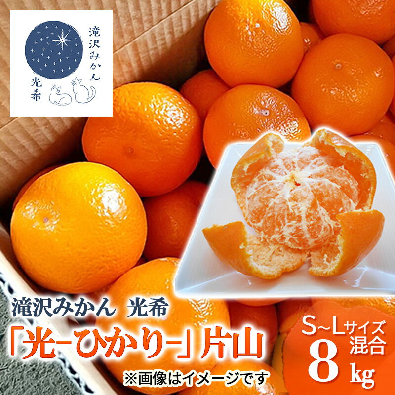 【ふるさと納税】みかん 静岡【2025年11月下旬より順次発送】滝沢みかん 光希「光」片山8kg（S～Lサイズ） 浜松市産 温州みかん　お届け：2025年11月25日～2025年12月5日