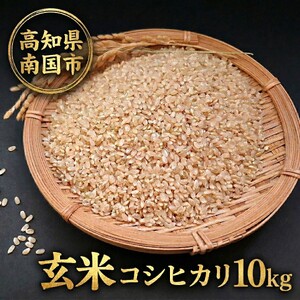 【令和8年産新米】玄米 コシヒカリ 10㎏ 数量限定 お米 | コシヒカリ
