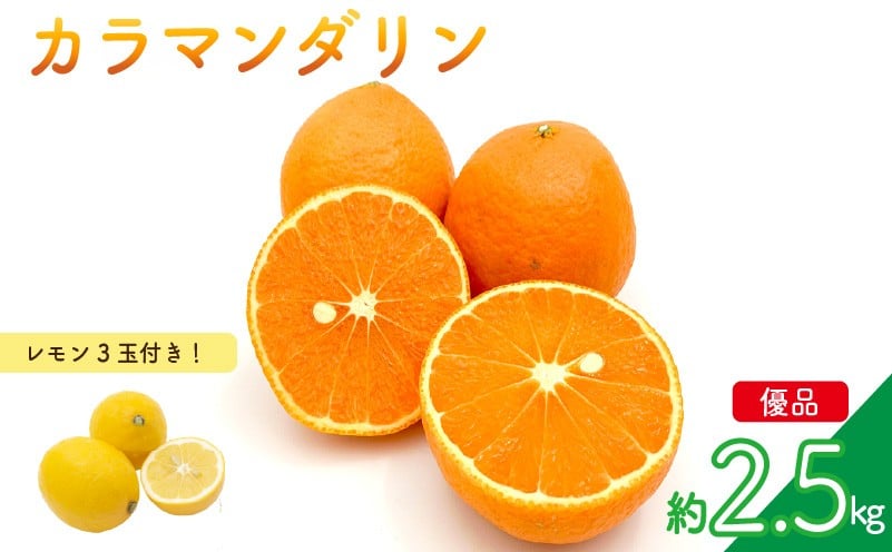 
            【先行予約】カラマンダリン (優品) 約2.5kg & 瀬戸内海の島レモン 3玉 セット | 柑橘 レモン みかん 蜜柑 mikan 檸檬 オレンジ かんきつ セット【2026年3月下旬頃から発送予定】 瀬戸内海 愛媛県 松山市 ココオ Koko'o 
          