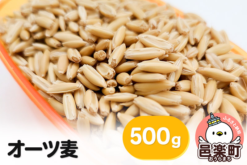 
            オーツ麦 500g×1袋 サイトウ・コーポレーション 飼料
          