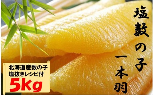 
国産　塩数の子ジャンボ(北海道産）　1本羽　5kg　小分け（500g×10袋） mi0012-0072
