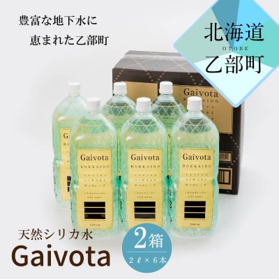 【Gaivota　2箱(2L×6本/箱】北のハイグレード食品　北海道乙部町の天然シリカ水