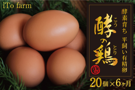 【6ヶ月定期便】iTo farm 酵の鶏 20個×6ヶ月お届け  鶏の卵 たまご 卵 玉子 タマゴ 鶏卵 オムレツ 卵かけご飯 朝食 料理 たまご焼き 福岡県 うきは市