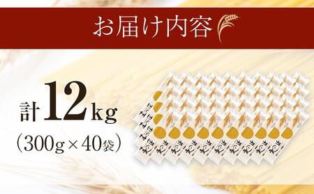 「麦の匠」デュラムセモリナ100％スパゲッティ300g×40袋 / 貝塚市産パスタ パスタ麺 もちもちパスタ パスタ スパゲティ スパゲッティ 乾麺 麺 もちもち 業務用 長期保存 まとめ買い 大容量