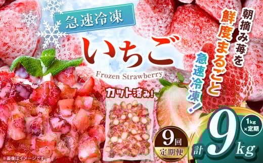 【栃木県共通返礼品】【定期便9回】冷凍いちご 1kg | 定期便 いちご とちあいか 冷凍 冷凍イチゴ スイーツ ジャム スムージー たっぷり 大粒  甘い 美味しい 果物 デザート 栃木県 那珂川町 送料無料