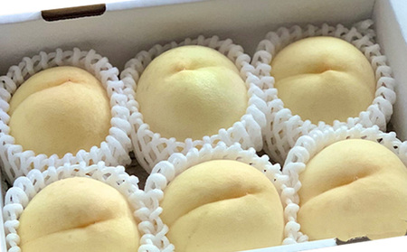 【先行予約】 桃 2024年 ご家庭用 訳あり 1.3kg 4～6玉 もも モモ 国産 岡山 白桃 はくとう スイーツ フルーツ 果物 デザート 旬 岡山県 里庄町 送料無料 早生 中生種 犬塚農園