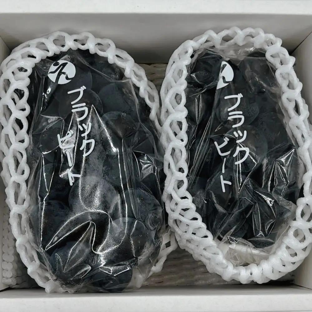 【2026年8月下旬頃から順次発送】 ブラックビート 2房 約900g 秀品 | ぶどう 葡萄 フルーツ 果物 産地直送  期間限定 くだもの ぶどう 葡萄 ブドウ おすすめ 人気 旬 フルーツ 愛媛