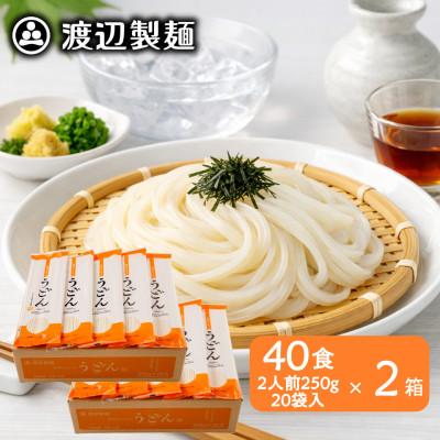 ふるさと納税 茅野市 うどん80食[1袋250g2人前×20袋×2箱(計10kg)]乾麺 信州八ヶ岳よりお届け