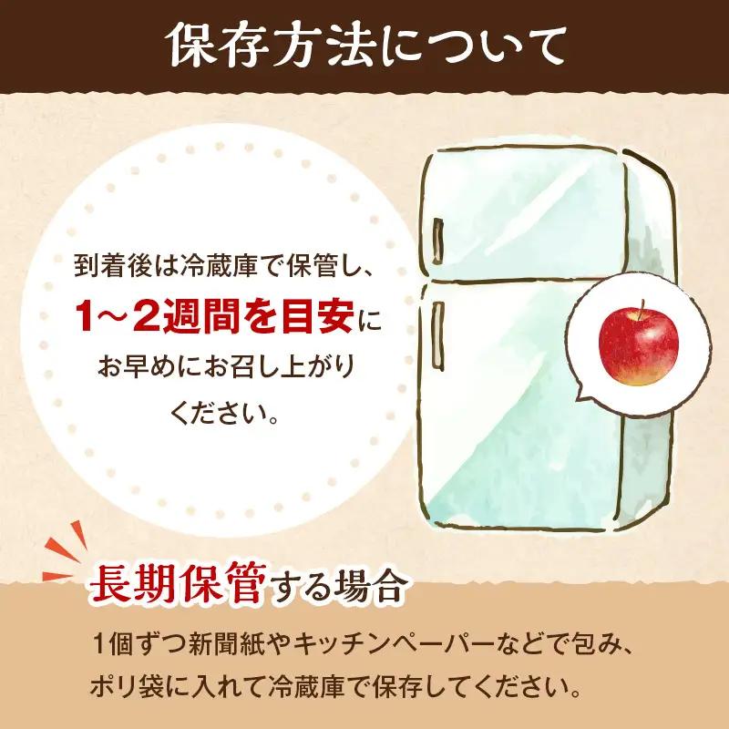 りんご サンふじ 秀品 約5kg 12～20玉入 リンゴ