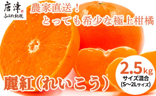 
麗紅(れいこう) ハウス栽培 唐津産 2.5kg 混合サイズ みかん 蜜柑 柑橘 果物 フルーツ
