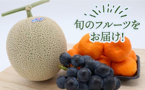 【6回定期便 隔月】フルーツ定期便 旬の果物 詰め合わせ 季節の果物をお任せで2?3品目お届け（2?3品目×6回）/ 果物 セット 甘い 南島原市 / 吉岡青果 [SCZ016]