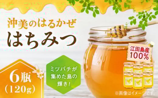 江田島産100％ はちみつ 『沖美のはるかぜ』120g×6本セット ハチミツ 蜂蜜 国産 広島 江田島市/はつはな果蜂園 [XCD005] ハチミツ 国産蜂蜜 国産はちみつ 国産純粋はちみつ 蜜 蜂蜜 はちみつ ハニー honey 人気ハチミツ 日本蜜蜂 純粋はちみつ 常温 保存 備蓄 防災食 非常食 保存食 産地直送 国産